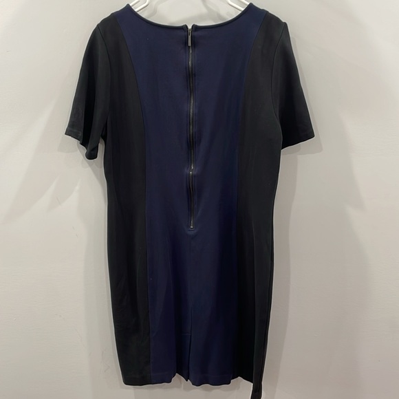 LOFT Dress - Picture 4 of 4